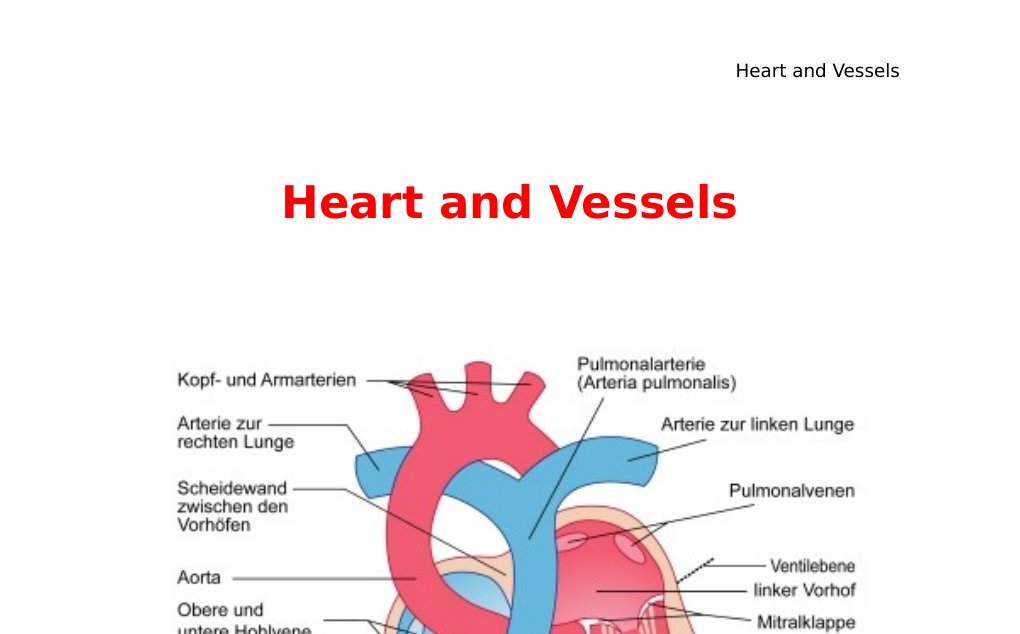 Heart and Vessels Aufsteigende Aorta (Aorta ascendens) <w:t>Linke Coronararterie <w:t>Rechte Coronararterie <w:t>Aortenbogen (Arcus Aortae) <w:t>Arteria Trunkus brachiocephalicus (Arm-Kopf-Gefäßstamm) Arteria subclavia dexter (rechte Subclavia) Arteria vertebralis dexter <w:t>Arteris carotis dexter (rechte Halsschlagader) Arteria carotis sinister, Arteris subclavia sinister (linke Subclavia) Arteria vertebralis sinister  Die Aorta gibt gleich nach Aortenklappe 2 grosse Herzkranzgefässe ab, die das Herz mit Blut versorgen.  1-) Right coronary artery (RCA): R.…