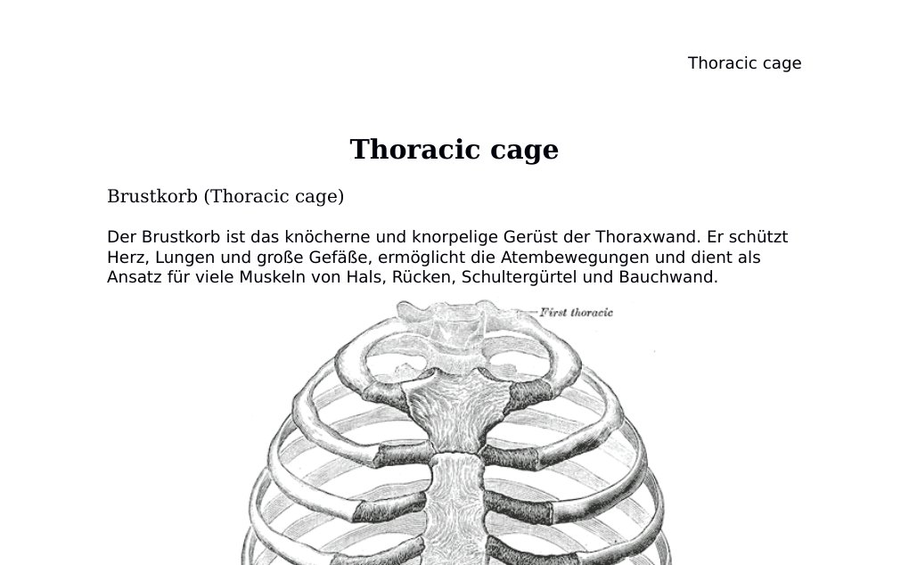 Thoracic cage Brustkorb (Thoracic cage)Der Brustkorb ist das knöcherne und knorpelige Gerüst der Thoraxwand. Er schützt Herz, Lungen und große Gefäße, ermöglicht die Atembewegungen und dient als Ansatz für viele Muskeln von Hals, Rücken, Schultergürtel und Bauchwand.Abb. 1: Thorax von ventral. Public domain: Gray&amp;apos;s Anatomy / Wikimedia Commons.Kurzüberblick • Bestandteile: Sternum, 12 Rippenpaare, Rippenknorpel und 12 Brustwirbel.• Rippen 1-7 sind echte Rippen, Rippen 8-10 unechte Rippen und Rippen 11-12 freie bzw. fluktuierende Rippen.• Die Interkostalräume enthalten Interkostalmuskeln sowie den neurovaskulären Strang.…