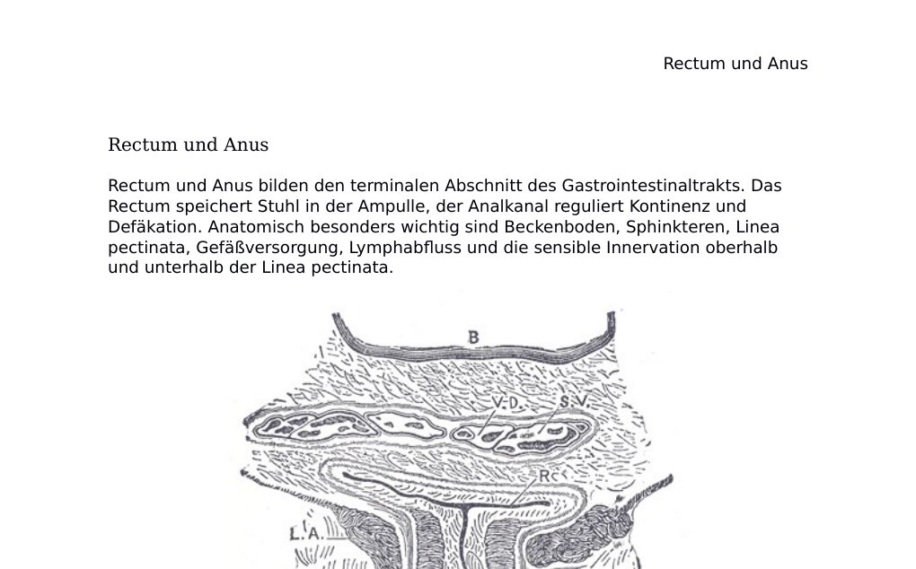 Rectum und Anus Rectum und AnusRectum und Anus bilden den terminalen Abschnitt des Gastrointestinaltrakts. Das Rectum speichert Stuhl in der Ampulle, der Analkanal reguliert Kontinenz und Defäkation. Anatomisch besonders wichtig sind Beckenboden, Sphinkteren, Linea pectinata, Gefäßversorgung, Lymphabfluss und die sensible Innervation oberhalb und unterhalb der Linea pectinata.Abb. 1: Analkanal mit Sphinkteren und Levator ani. Public domain: Gray&amp;apos;s Anatomy / Wikimedia Commons.Kurzüberblick • Rectum und Anus bilden den terminalen Abschnitt des Gastrointestinaltrakts.…