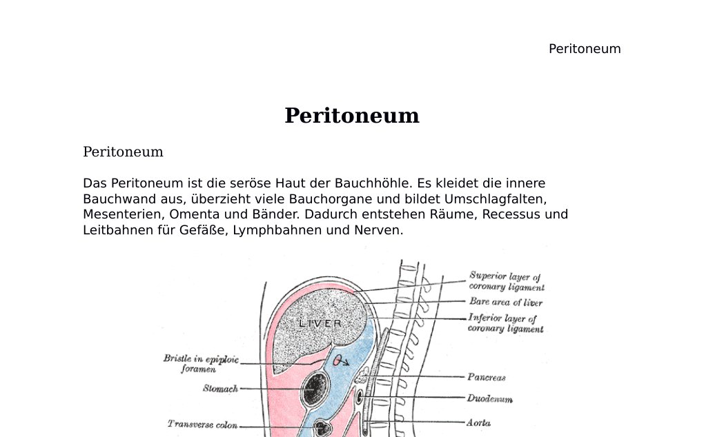 Peritoneum PeritoneumDas Peritoneum ist die seröse Haut der Bauchhöhle. Es kleidet die innere Bauchwand aus, überzieht viele Bauchorgane und bildet Umschlagfalten, Mesenterien, Omenta und Bänder. Dadurch entstehen Räume, Recessus und Leitbahnen für Gefäße, Lymphbahnen und Nerven.Abb. 1: Peritoneum und Bauchorgane. Public domain: Gray&amp;apos;s Anatomy / Wikimedia Commons.Kurzüberblick • Das Peritoneum besteht aus parietalem und viszeralem Peritoneum. • Die Peritonealhöhle ist ein potenzieller Raum mit wenig seröser Flüssigkeit.• Mesenterien, Omenta und peritoneale Ligamente sind Doppelschichten des Peritoneums.…