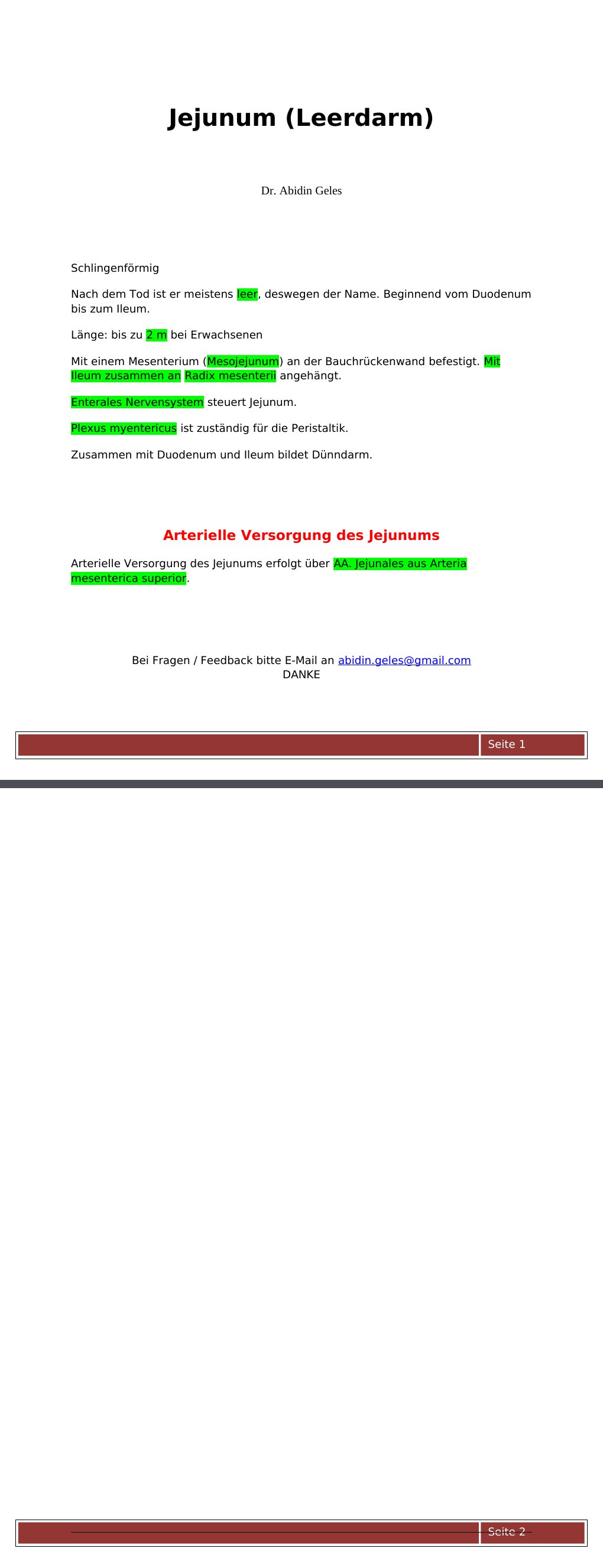 SchlingenförmigNach dem Tod ist er meistens leer, deswegen der Name. Beginnend vom Duodenum bis zum Ileum.Länge: bis zu 2 m bei ErwachsenenMit einem Mesenterium (Mesojejunum) an der Bauchrückenwand befestigt. Mit Ileum zusammen an Radix mesenterii angehängt.Enterales Nervensystem steuert Jejunum. Plexus myentericus ist zuständig für die Peristaltik. Zusammen mit Duodenum und Ileum bildet Dünndarm. Arterielle Versorgung des JejunumsArterielle Versorgung des Jejunums erfolgt über AA. Jejunales aus Arteria mesenterica superior.