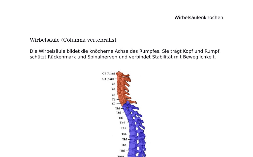 (Lat. Columna vertebralis ; Engl. Vertebral column / spinal column) Dr. Dr. med. sci. Abidin GelesCopyright - All Rights Reserved: This document and all content on this website may not be published, reproduced, or distributed without the written permission of the author, Dr. Dr. med. sci. Abidin Geles.www.medwissen.ch abidin.geles@gmail.com Wirbelsäulenknochen Wirbelsäule (Columna vertebralis)Die Wirbelsäule bildet die knöcherne Achse des Rumpfes. Sie trägt Kopf und Rumpf, schützt Rückenmark und Spinalnerven und verbindet Stabilität mit Beweglichkeit.Abb.…