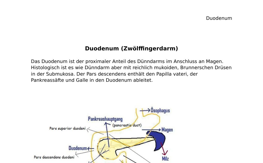 Duodenum (Zwölffingerdarm)Das Duodenum ist der proximaler Anteil des Dünndarms im Anschluss an Magen. Histologisch ist es wie Dünndarm aber mit reichlich mukoiden, Brunnerschen Drüsen in der Submukosa. Der Pars descendens enthält den Papilla vateri, der Pankreassäfte und Galle in den Duodenum ableitet.Flexura duodenojejunalis ist in Höhe des 2. Lendenwirbelkörpers. Arterielle Versorgung des Duodenums:Arteria pancreaticoduodenalis superior anterior und posterior aus A. gastroduodenalisArteria pancreaticoduodenalis inferior anterior und posterior aus A. mesenterica superior…